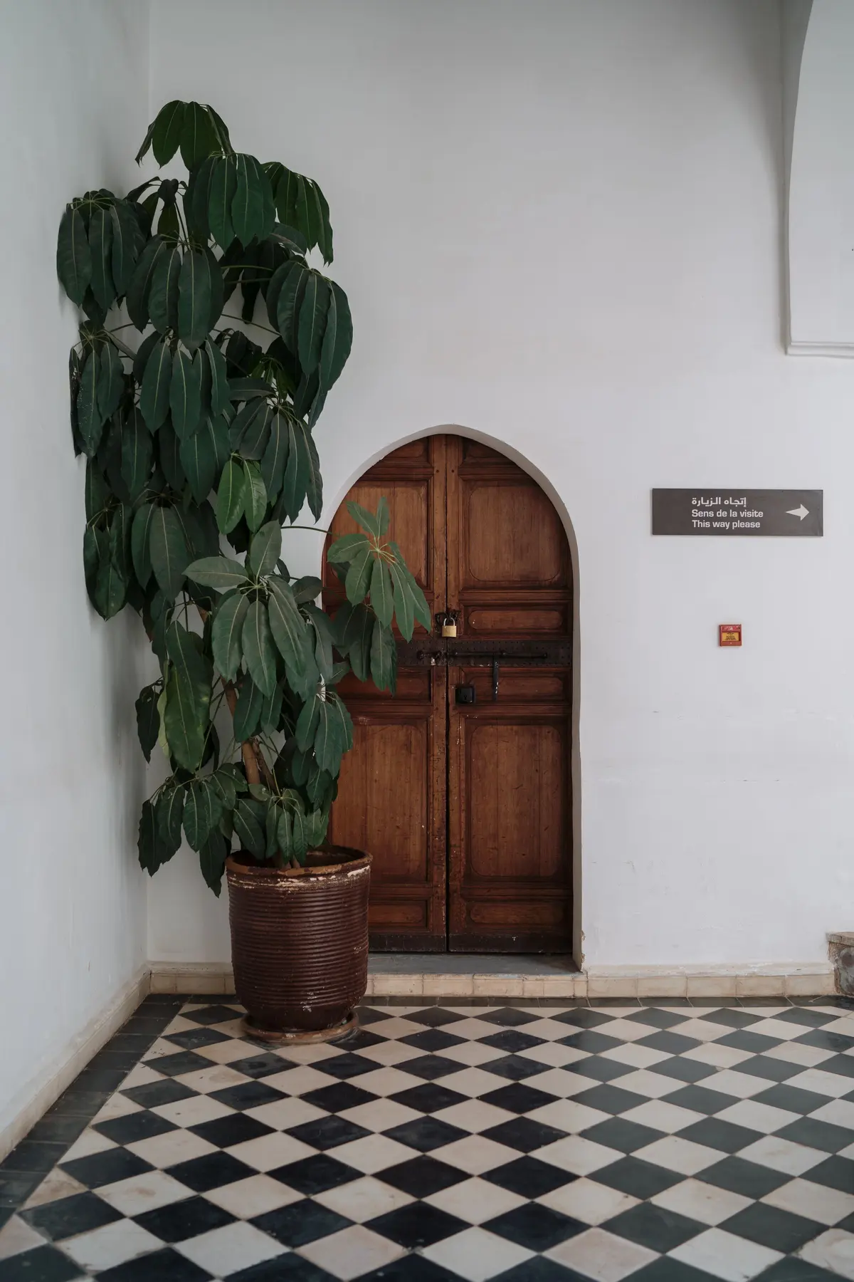 Elegant tile flooring